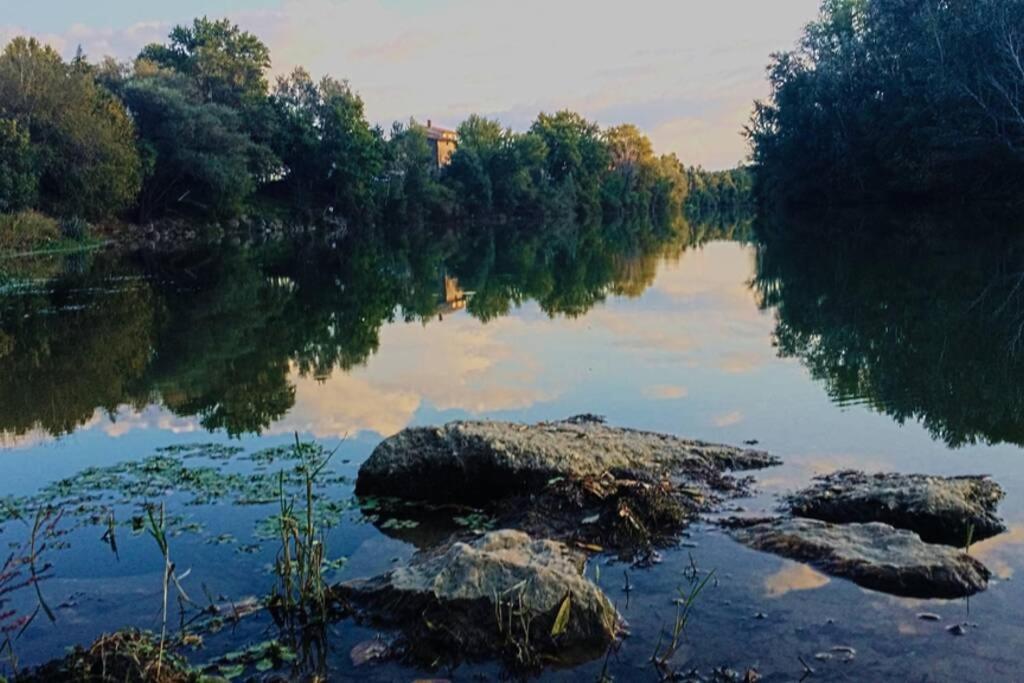 Studio Entre Cevennes Et Camargue Montfrin Εξωτερικό φωτογραφία
