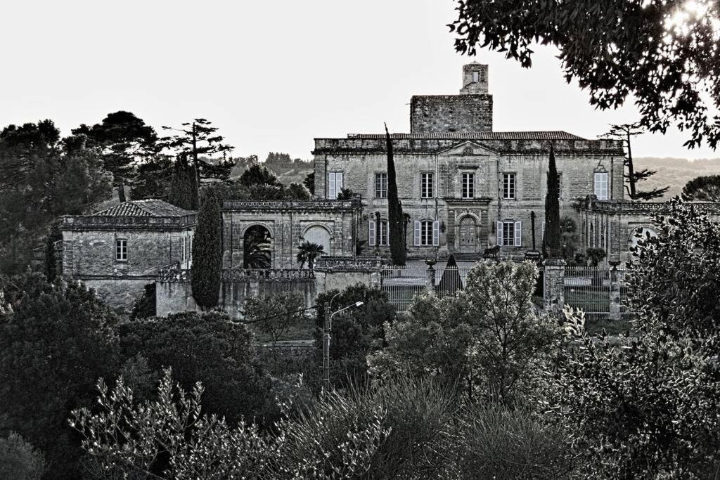 Studio Entre Cevennes Et Camargue Montfrin Εξωτερικό φωτογραφία